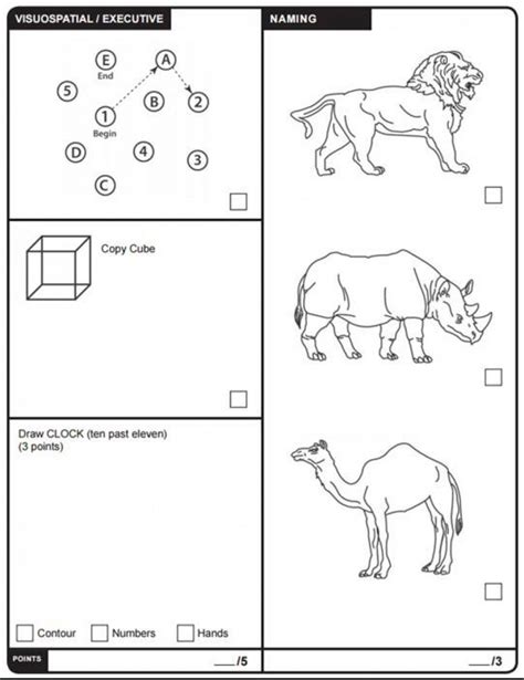 Moca cognitive assessment - angryulsd