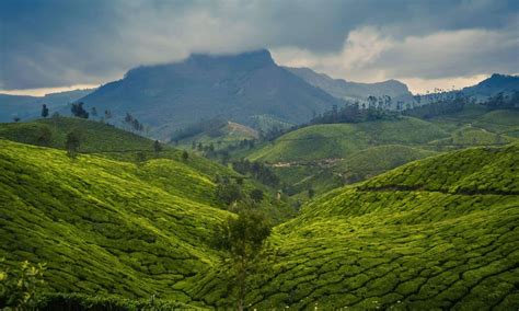 6 Best Hill Stations to Visit in Kerala | Updated 2023 | Bon Travel India