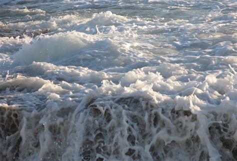 Sea foam Free Photo Download | FreeImages