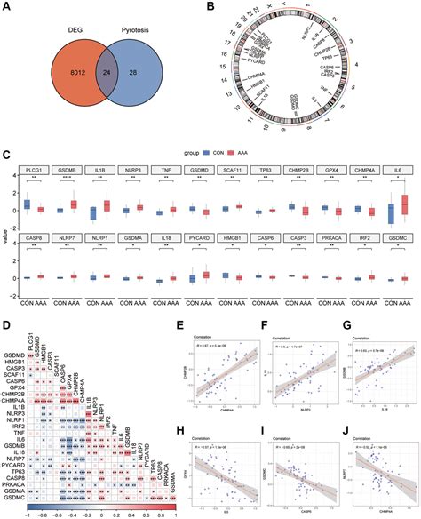 Integrated Analysis Of Bulk Rna Seq And Single Cell Rna Seq Reveals The