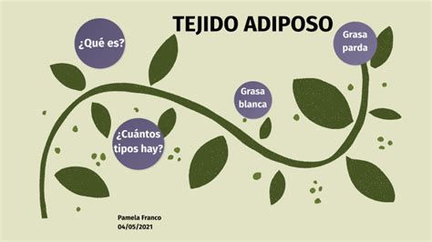 Arriba Imagen Tejido Conjuntivo Mapa Mental Abzlocal Mx