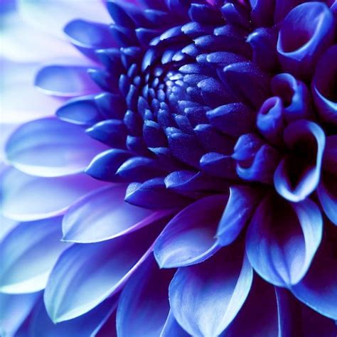 Premium Ai Image Indigo Dahlia Macro Photography