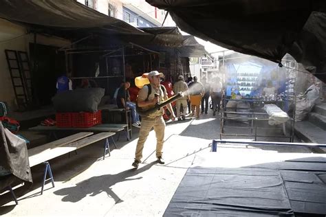 Zacapa Lidera La Incidencia De Dengue En Guatemala Con Alarmantes