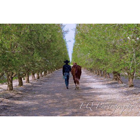 ag talk markets 11