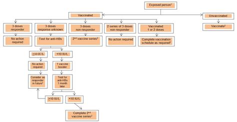 Hepatitis B Vaccines Canadian Immunization Guide Canadaca