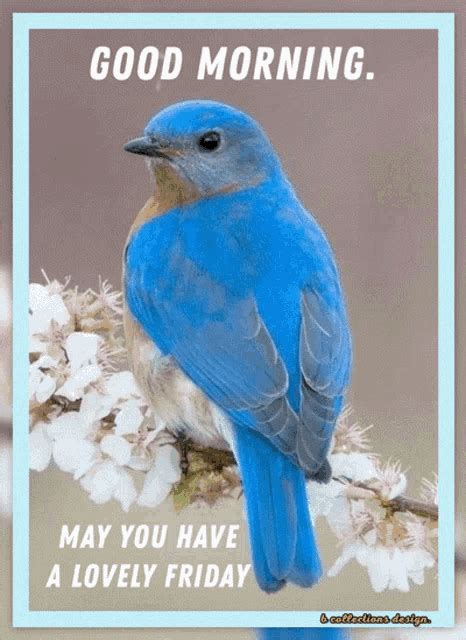 Good Friday Morning Blue Bird Lovely Friday 