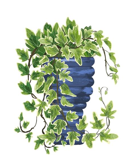 Plant guides – Artofit