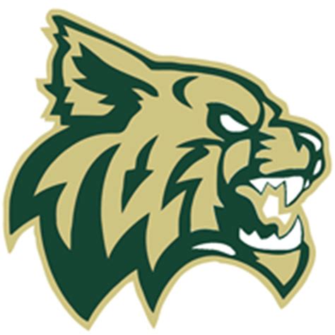 Chisago Lakes Wildcats Boys Ice Hockey Lindstrom Mn High School On Si