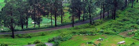 Mysore to Ooty Tour Packages