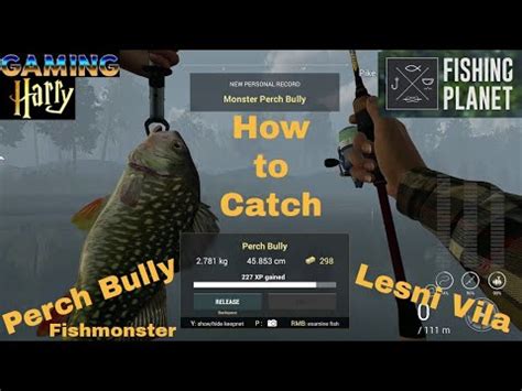 Fishing Planet Lesni Vila Perch Bully Fishmonster Mission Youtube