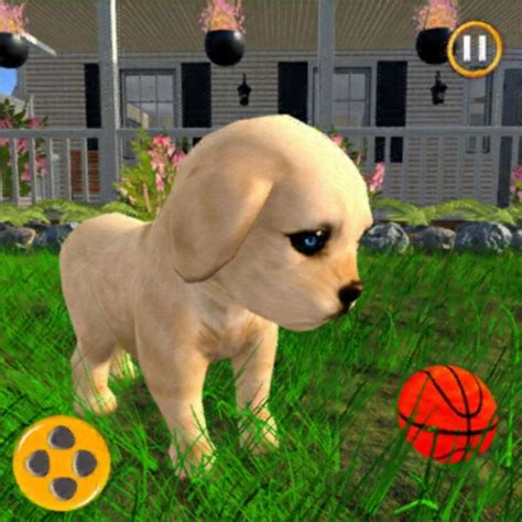 Dog Simulator 3d: Puppy Games by Amina Akhtar