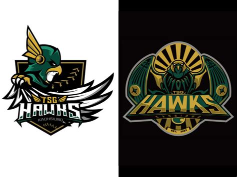 TSG Hawks Unveil Team Logo - CPBL STATS