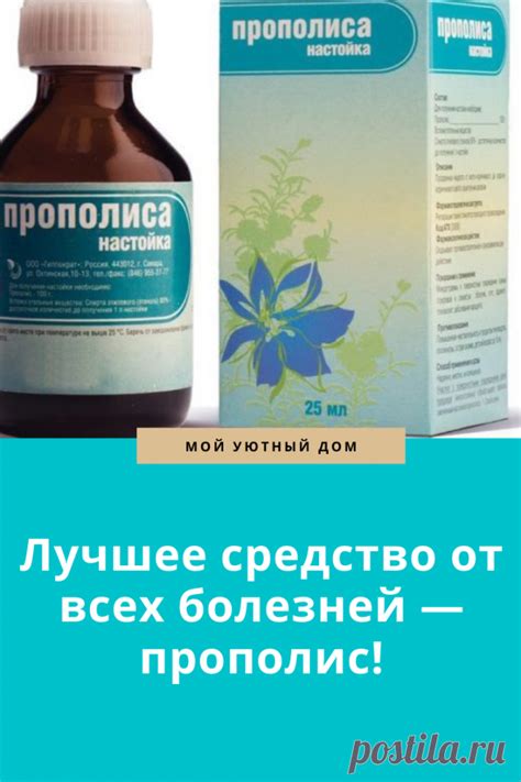 Прополис отличное лекарство от множества болезней | Полезные советы ...