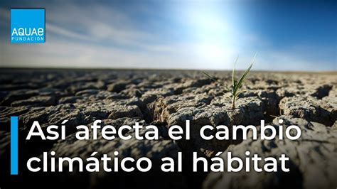 Así AFECTA el CAMBIO CLIMÁTICO a los hábitats naturales YouTube