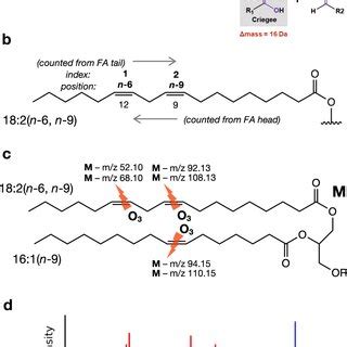 schematic  ozid reaction chemistry  lipid double bond