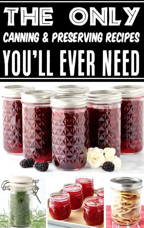 Canning And Preserving For Beginners {ultimate Guide To Get Started