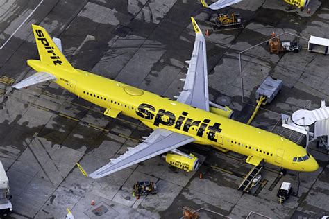 Spirit Airlines Reviews 2024 - Erma Odetta