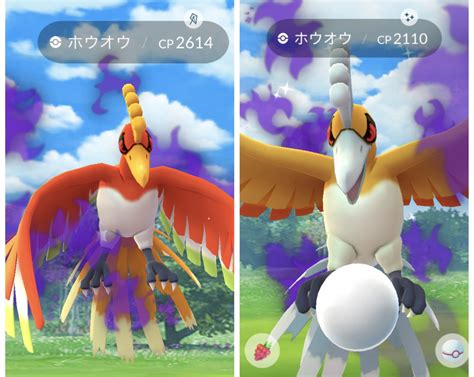 色違い初登場！シャドウホウオウは2人で倒せる！少人数での倒し方【ポケモンgo】 ダチョウメモ