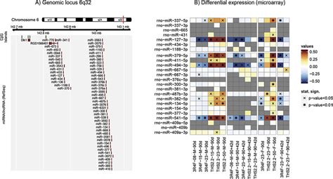 Mirnas In The Dlk1 Dio3 Cluster A Genomic Map Of The Imprinted