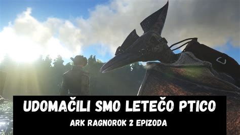 Udomačil sem ptico z krili ARK RAGNOROK EP 2 YouTube