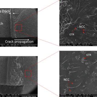 The Scanning Electron Microscope Micrographs Of Fracture Surface Of