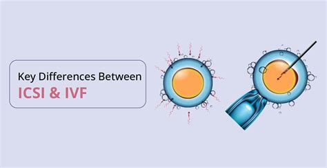 What Is The Difference Between Icsi And Ivf Birla Fertility And Ivf