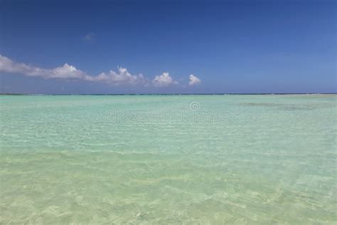 El Mar Del Caribe De La Isla De Bonaire Windsurf Laguna Sorobon Imagen