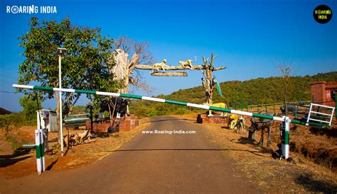 Chandoli National Park, Warana Dam, Maharashtra - Roaring India Tourism