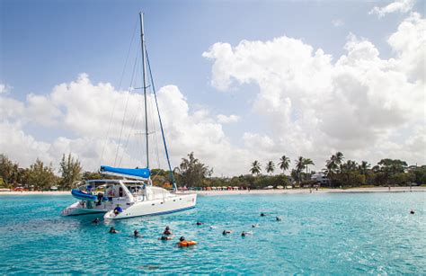 Snorkeling In Carlisle Bay Barbados Stock Photo - Download Image Now ...