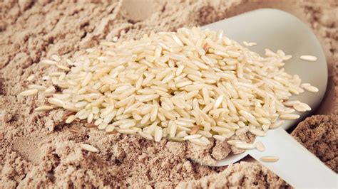 Brown Rice Protein Powder 8 Best Selling Vegan Choices