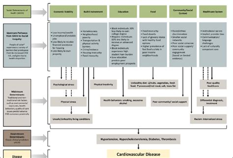 Race As Social Determinants Of Health Sdoh Upstream Midstream