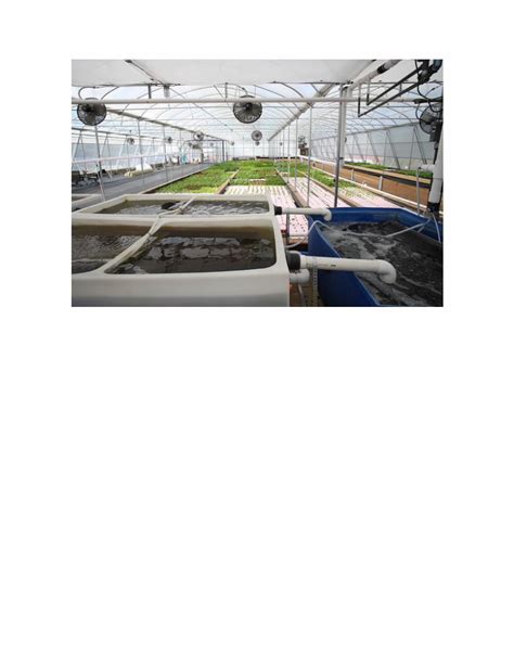 (PDF) Aquaponics System Design, Aquaponics System, Aquaponic Plants ...