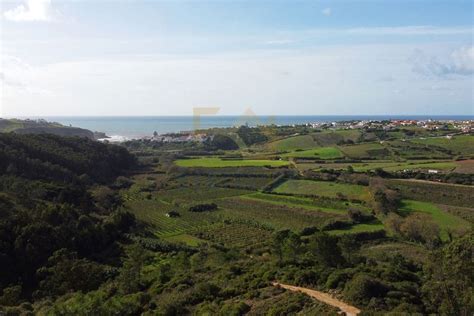 Terreno Venda No Caminho Dos Raposeiros Santo Isidoro Mafra Idealista