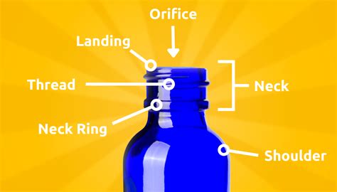 bottle body parts