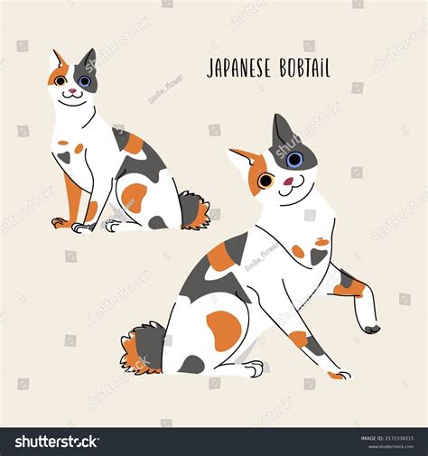 Japanese Bobtail Cat Vector Set Isolated On Royalty Free Stock Vector