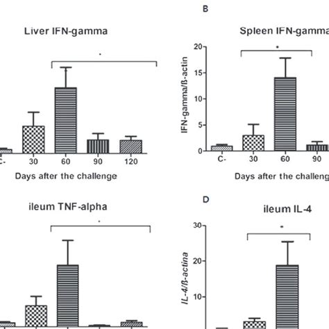 Expression of mRNA in organs. Relative expression of RNA transcripts of ...