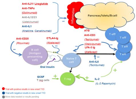 Figure 8 Major Pathways Leading To Beta Endotext NCBI Bookshelf