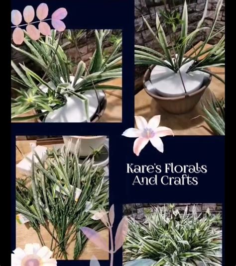 Spider Plant Hanging Basket 733 Kares Florals And Crafts 2