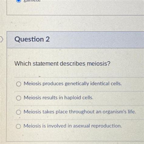 Which Statement Describes Meiosis