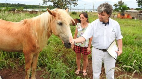 Confirman Que Misiones Es Una De Las Provincias Sin Casos De