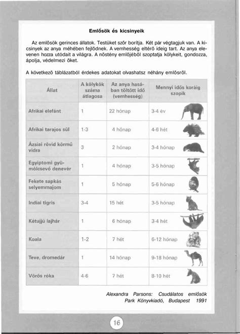 Sz Veg Rt St Fejleszt Gyakorlatok Pdf Ingyenes Let Lt S Shopping