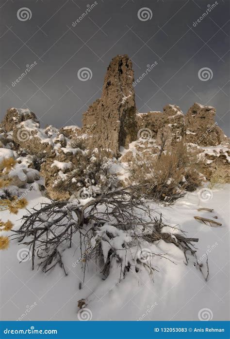 Tufa in Acient Lake Mono - Snow and Winter - Mountains Stock Image ...