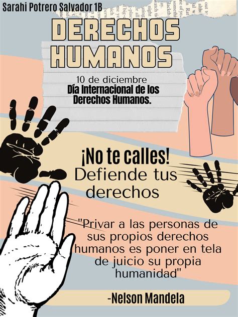 Pin en Oficinas jurídicos Declaración de los derechos humanos