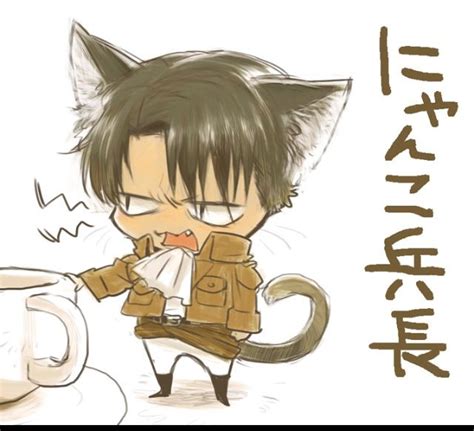 Cat Levi Anime Attack On Titan Chibi