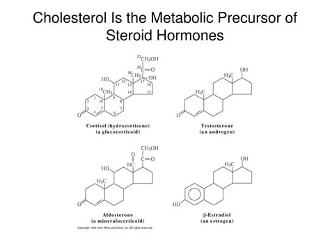 Ppt Lipids And Membranes Powerpoint Presentation Free Download Id