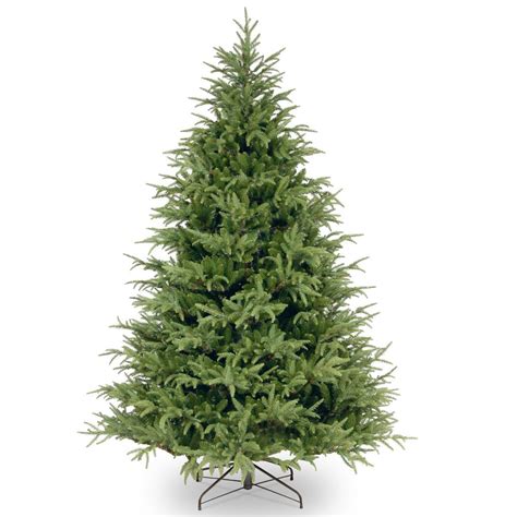 National Tree Company 75 Ft Frasier Grande Tree Pefg3 500 75 The Home Depot