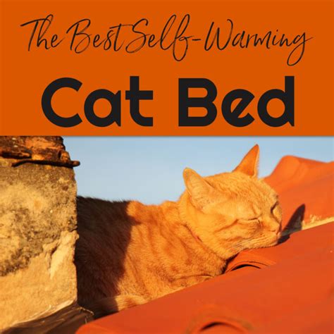 Self-Warming Cat Beds - Best Heated Cat Bed