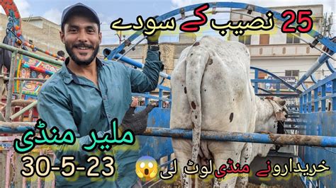 Sode Par Soda Mandi Loot Li Karachi Cattle Rates Updates