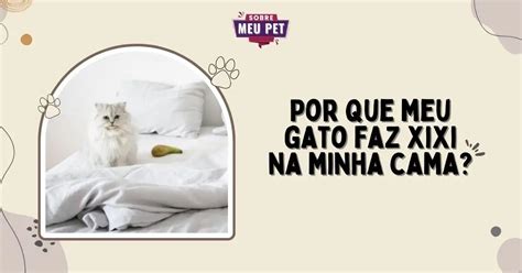 Por Que Meu Gato Faz Xixi Na Minha Cama Blog Da Promo Es Pet