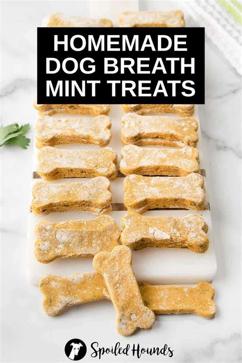 Healthy Homemade Dog Breath Mints Recipe